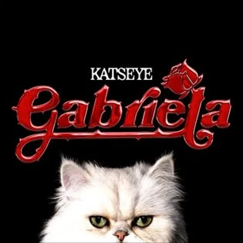 Cover art for Gabriela