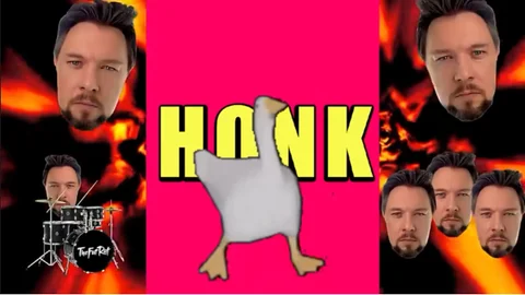 Cover art for HONK