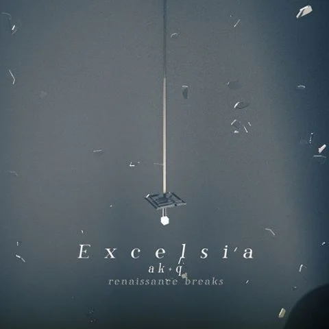 Cover art for Excelsia