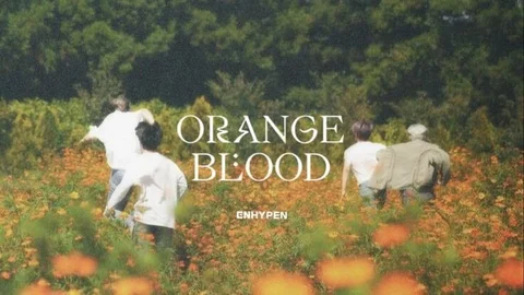 Cover art for orange flower - enhypen
