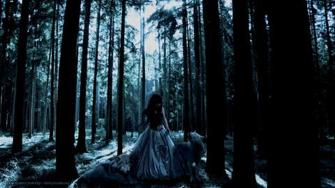 Cover art for Fairydust (Ravitex Remix)