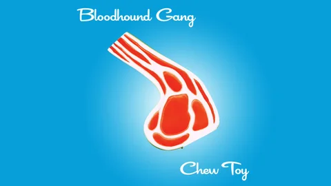 Cover art for Chew Toy